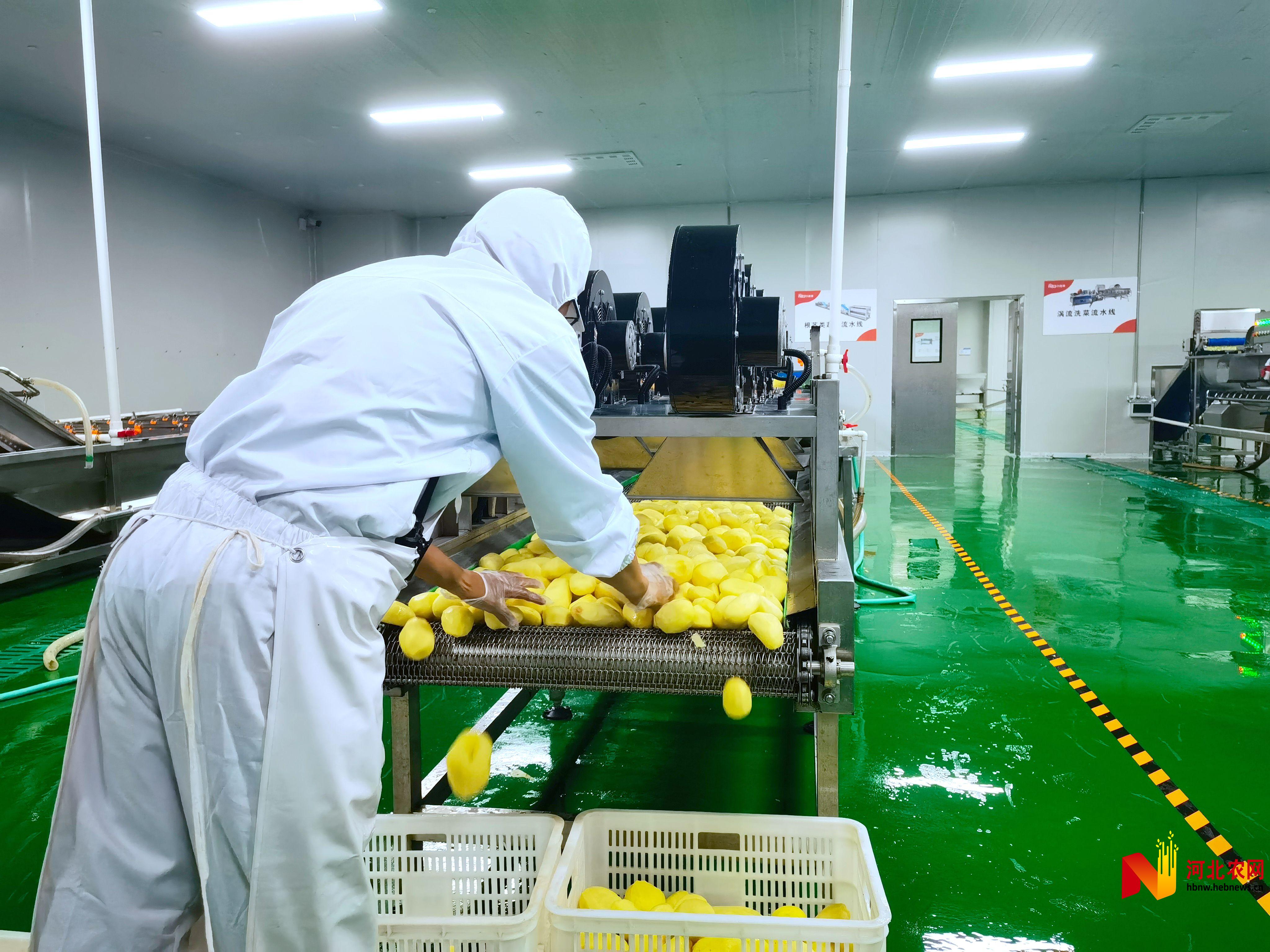 质量检测