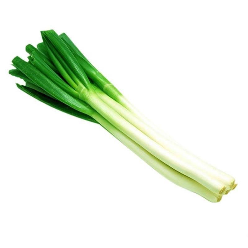 大葱