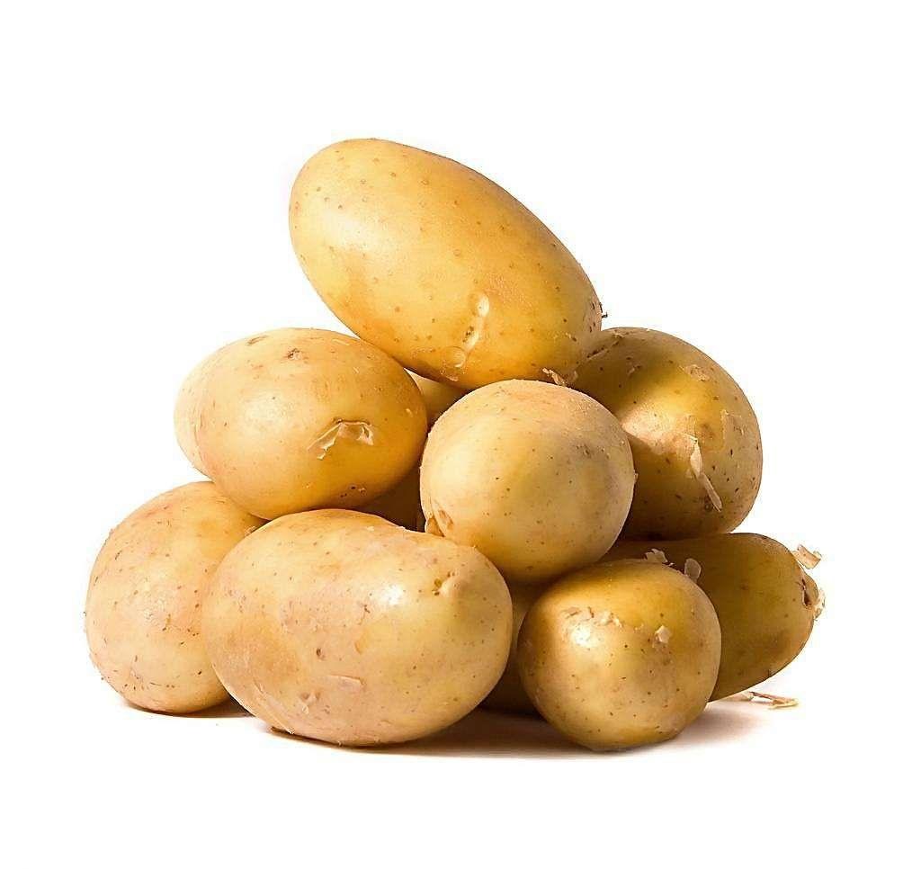 土豆